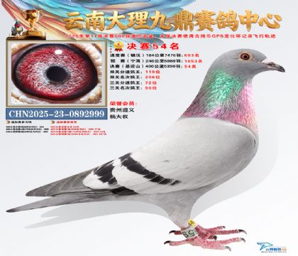 大理九鼎决赛54名