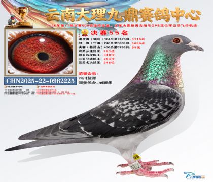 大理九鼎决赛55名