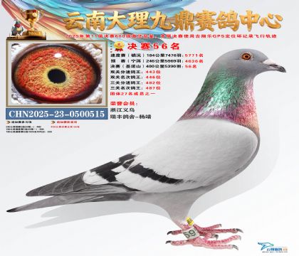 大理九鼎决赛56名