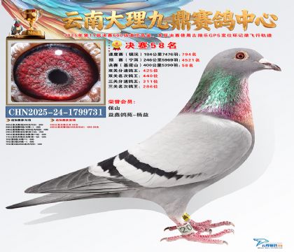 大理九鼎决赛58名