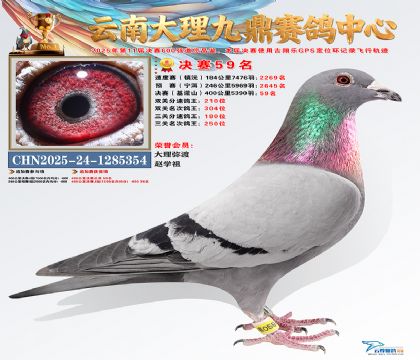 大理九鼎决赛59名