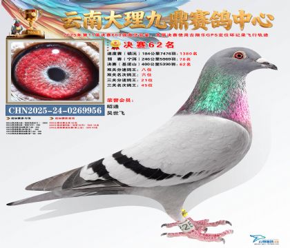 大理九鼎决赛62名