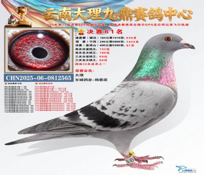 大理九鼎决赛61名