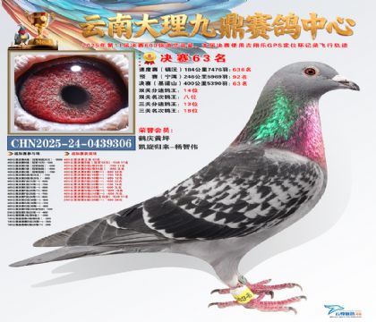 大理九鼎决赛63名