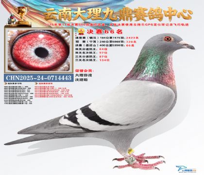 大理九鼎决赛66名