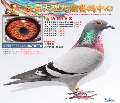 大理九鼎决赛65名