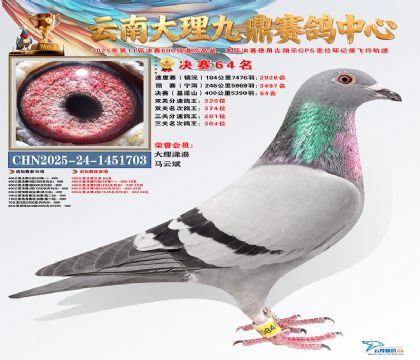 大理九鼎决赛64名