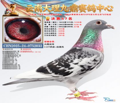 大理九鼎决赛67名