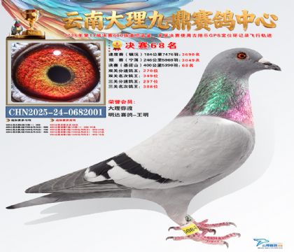 大理九鼎决赛68名