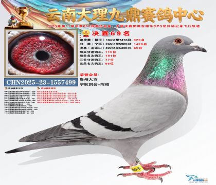 大理九鼎决赛69名