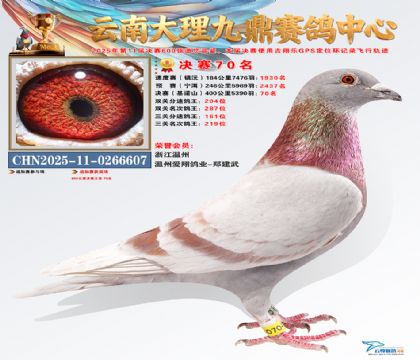 大理九鼎决赛70名