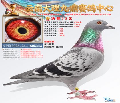 大理九鼎决赛72名