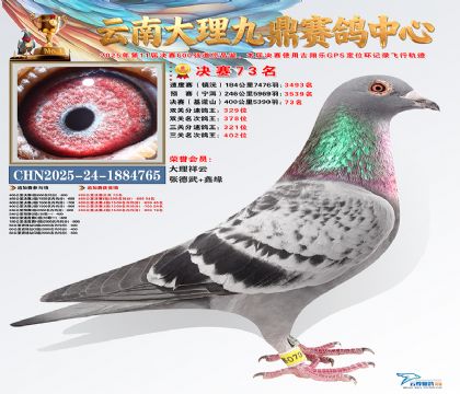 大理九鼎决赛73名