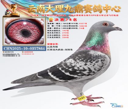 大理九鼎决赛74名