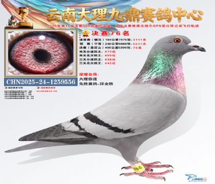 大理九鼎决赛76名