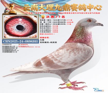 大理九鼎决赛77名