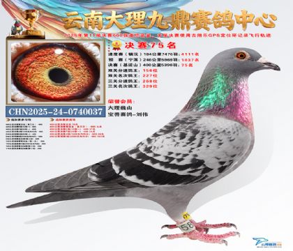 大理九鼎决赛75名