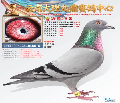 大理九鼎决赛78名