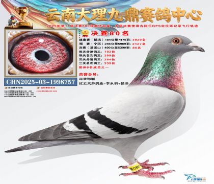 大理九鼎决赛80名