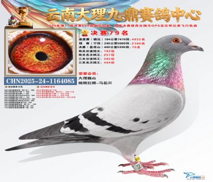 大理九鼎决赛79名