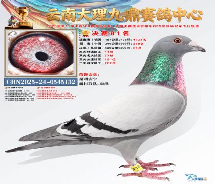 大理九鼎决赛81名