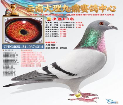 大理九鼎决赛83名