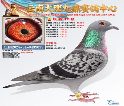 大理九鼎决赛82名