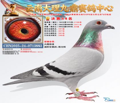 大理九鼎决赛84名