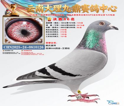 大理九鼎决赛86名