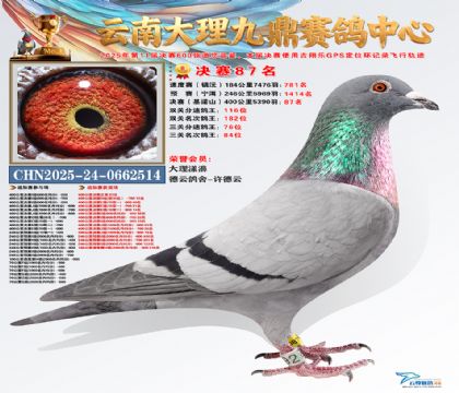 大理九鼎决赛87名