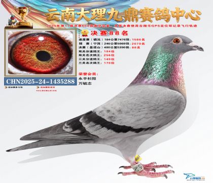 大理九鼎决赛88名