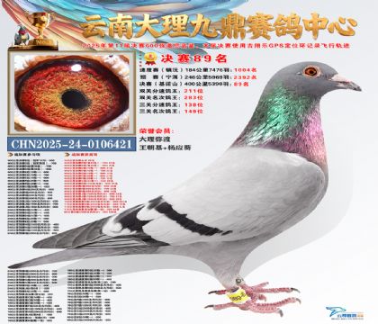 大理九鼎决赛89名