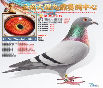 大理九鼎决赛90名