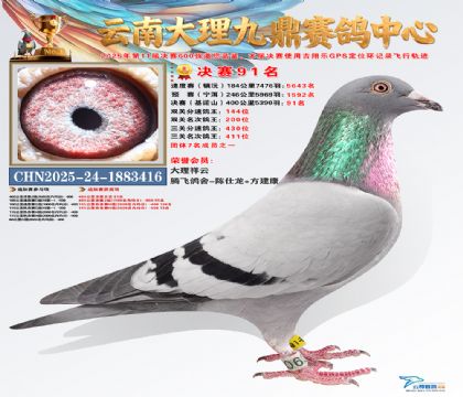 大理九鼎决赛91名