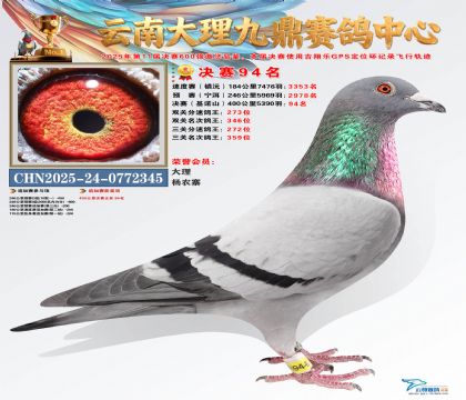 大理九鼎决赛94名