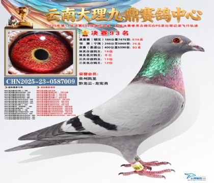 大理九鼎决赛93名