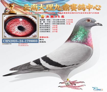 大理九鼎决赛95名