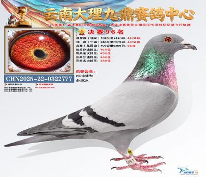 大理九鼎决赛96名