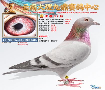 大理九鼎决赛97名