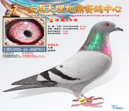 大理九鼎决赛98名