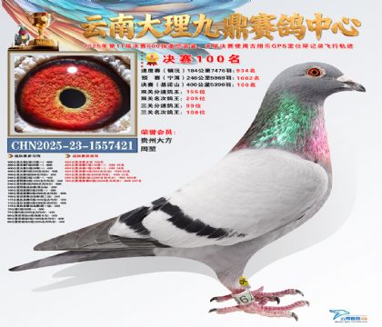 大理九鼎决赛100名