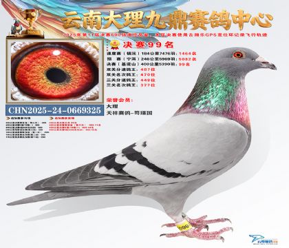 大理九鼎决赛99名