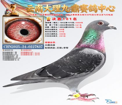 大理九鼎决赛101名