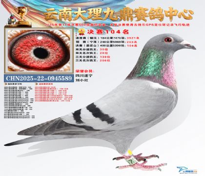 大理九鼎决赛104名