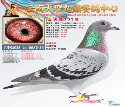 大理九鼎决赛103名