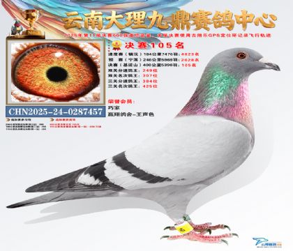 大理九鼎决赛105名