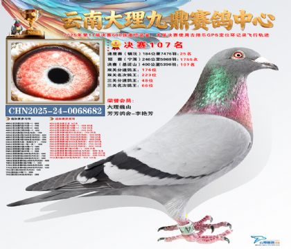 大理九鼎决赛107名