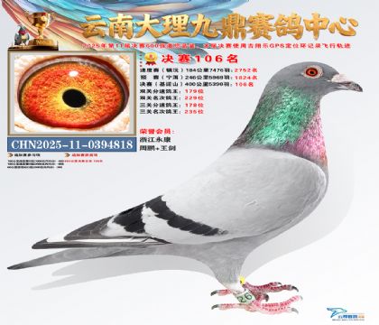 大理九鼎决赛106名