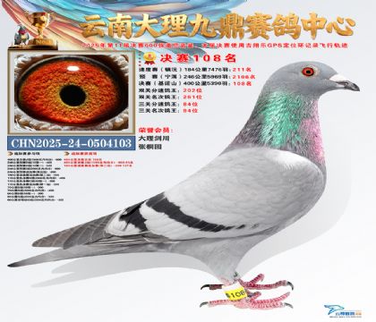 大理九鼎决赛108名