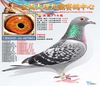 大理九鼎决赛110名